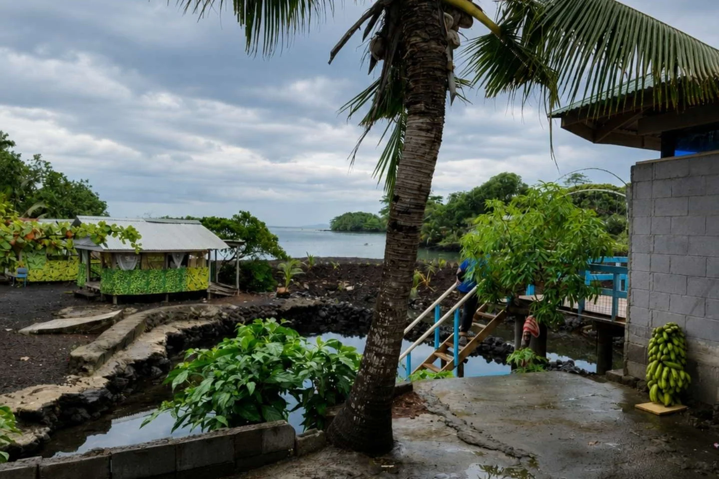 A family place in Savai'i, with a coconut palm, shoreline, homes and a person on stairs.